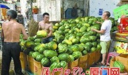 51热门大瓜今日大瓜最新,今日大瓜新鲜出炉，揭秘娱乐圈最新热点！