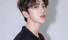 明星排行榜,璀璨星光闪耀娱乐圈